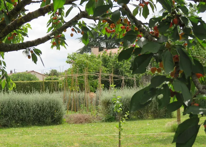 Gite Du Pradel